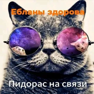 шиз на связи