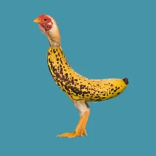 Chicken Banana