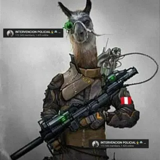 INTERVENCION POLICIAL MILITAR Y SUCESOS EN PERU