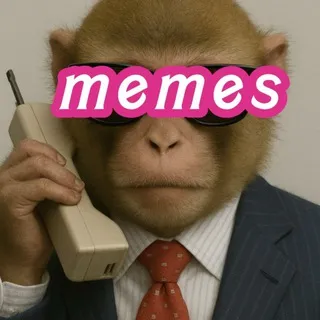 DGSR MEMES 💯