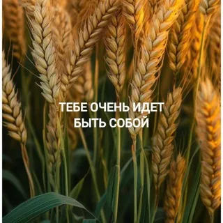Правильное питание/РЕЦЕПТЫ