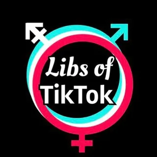 Libs of TikTok Fans