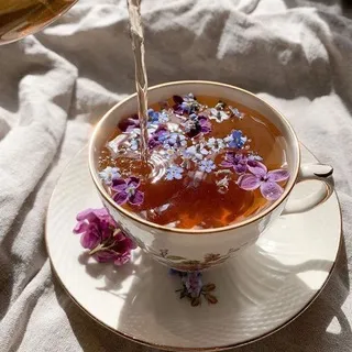 Factio tea kalmiya | 18+