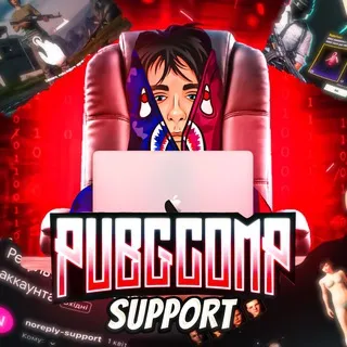 PUBGCOMP SUPPORT