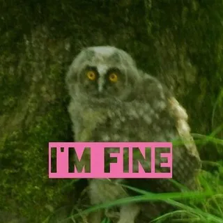 I'M FINE