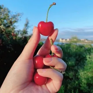 缘起缘灭