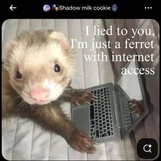 Weasel madness