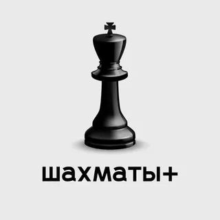 Шахматы + ✔