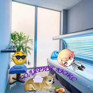 солярий люкс