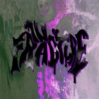 IN FRACTURE