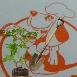Someone's Garden