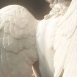 ʸᴼᵁᴿ ᴳᴼᴰ 🪽🩸