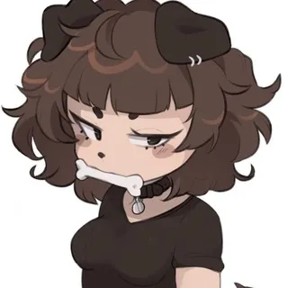 vellocka