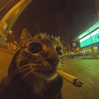 неярко