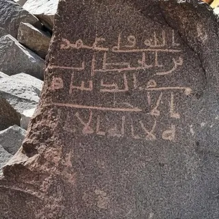 قَسْوَرَة التيميّة (٣)📌