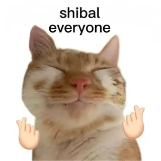 шинигамищи