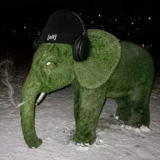 [alt]