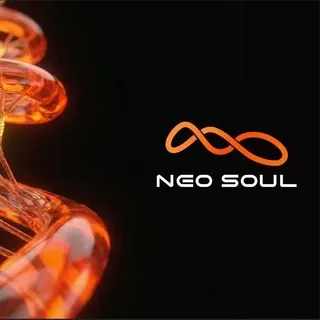 NeoSoul Community