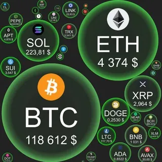 👑 Mundo Trading 👑
