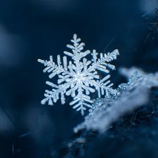 Snowflake ❄