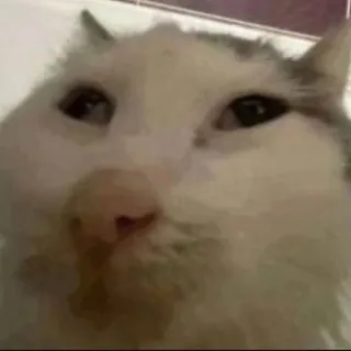 Супчик на говняжем