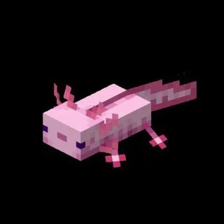 𝙉𝙪𝙣𝙤 𝙛𝙡𝙤𝙤𝙙 — [𝙇𝙞𝙛𝙚]