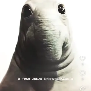 >_< лак облез