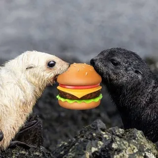 sealburger 😭😭🍔🍔🦭🦭