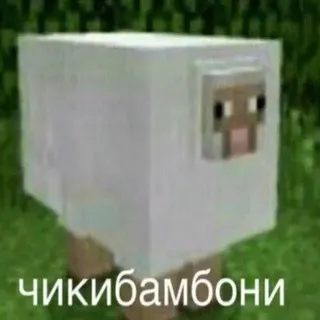 𝑳𝒊𝒇𝒆 || 𝑻𝒂𝒊𝒌𝒊 𝒏𝒐 𝑲𝒖🪽