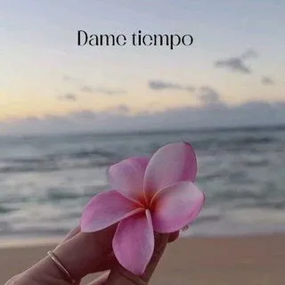 𝔻𝕒𝕞𝕖 𝕋𝕚𝕖𝕞𝕡𝕠 🥀•••🌺