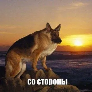 со стороны