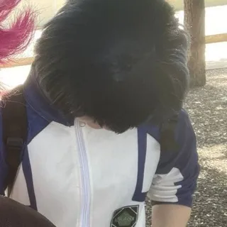 [♬] - 𝘓𝘪𝘯𝘪𝘬 利尼克 | 🎐