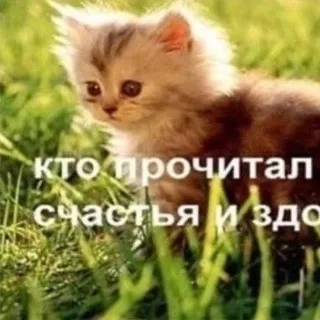 !!!ПЕРЕЕЗД И АРХИВ!!! loser core confession !