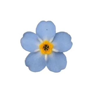✿