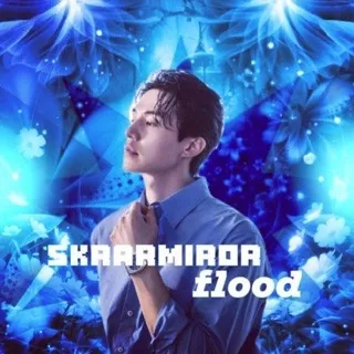 (𝗦𝗞𝗥𝗔𝗥𝗠𝗜𝗥𝗢𝗥 𝗙𝗟𝗢𝗢𝗗) 𝗹𝗻𝗳𝗼🩵