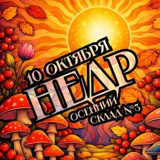 ФЕСТИВАЛЬ НЕДР ОСЕННИЙ | 10.10.2026 | СКЛАД №3