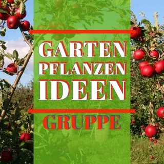 Garten Pflanzen Ideen