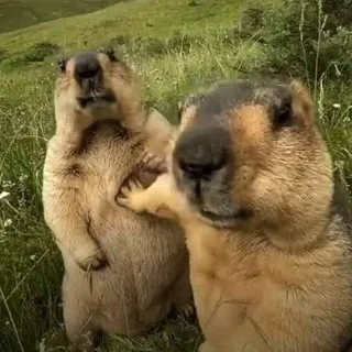 НеСкромный блог