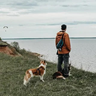 Соболь и зверьё