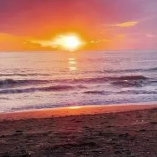 Amazing Nature Clips🌳🙂