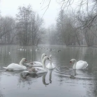 ᵃᵈⁱᵏᵃ ♱
