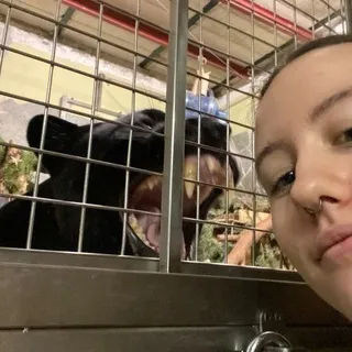 Дневник зоокипера🐾
