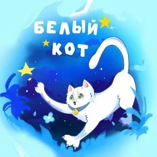 🐱Белый Кот🐱Аниме Магазин🐱