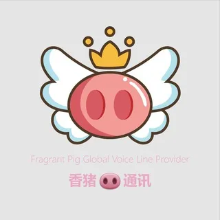 香猪🐽海外电销系统☎️全球语音线路☎️越南、印尼、印度、马来、欧洲、南美洲