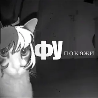🍎!!pomidor NSFW!!🍅 !!+18!!