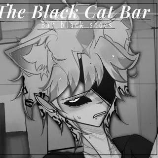 The black cat bar