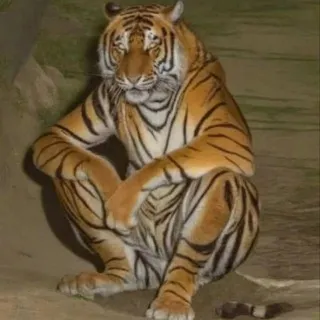 FraNker