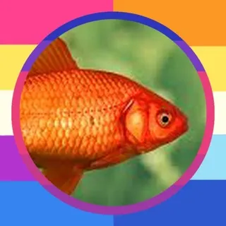 zhenovlisko