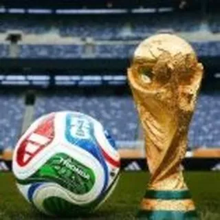 ⚽️必安体育官方直营🏆征战世界杯