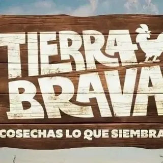 Tierra Brava Y Ganar O Servir Peleas Y Conflictos